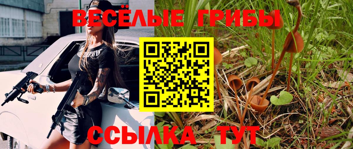 Псилоцибиновые грибы Magic Shrooms  Вход с VPN  Орск 